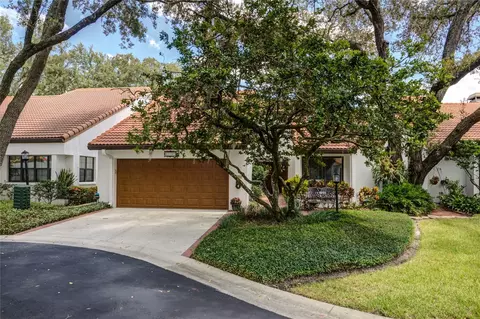 11507 Cerca Del Rio Pl, Temple Terrace, FL 33617