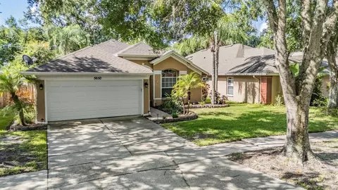 5650 Paddock Trail Dr, Tampa, FL 33624