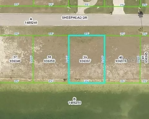 3464 Sheephead Dr, Hernando Beach, FL 34607
