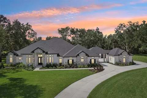 3317 Chase Jackson Br, Lutz, FL 33559