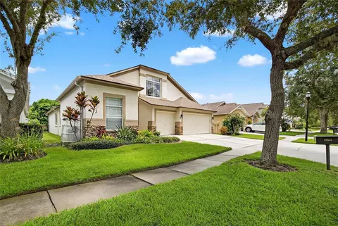 15531 Martinmeadow Dr, Lithia, FL 33547