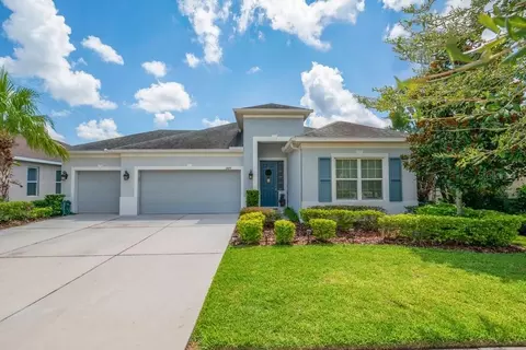 17659 Bright Wheat Dr, Lithia, FL 33547