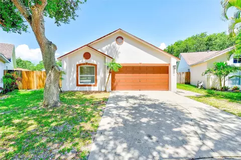 6203 Calamari Pl, Riverview, FL 33578