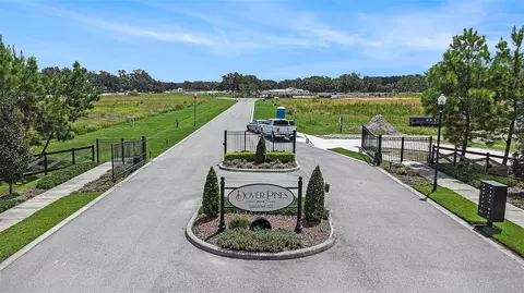 14264 Pine Straw Ct, Dover, FL 33527