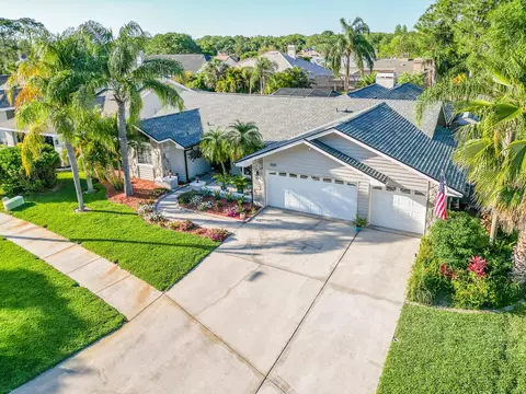 1005 Chatham Ct, Safety Harbor, FL 34695