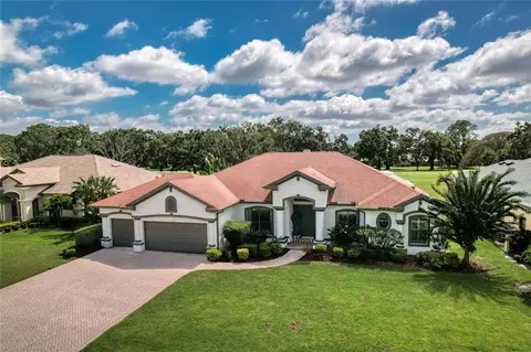 12514 Eagles Entry Dr, Odessa, FL 33556