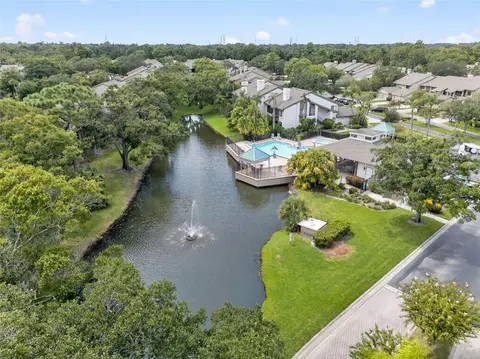 3001 Landmark Blvd #102, Palm Harbor, FL 34684