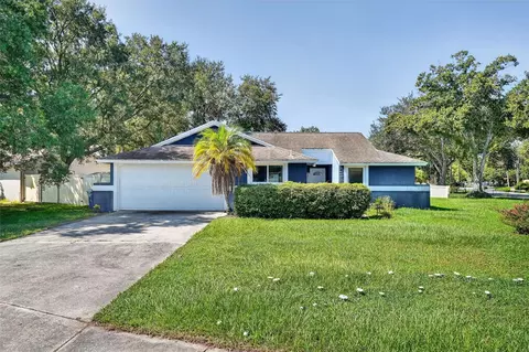 5388 Black Pine Dr, Tampa, FL 33624