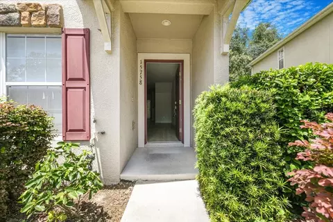 15758 Fishhawk Falls Dr, Lithia, FL 33547
