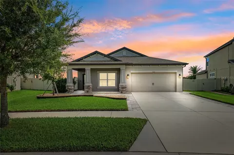 31031 Parrot Reef Ct, Wesley Chapel, FL 33545