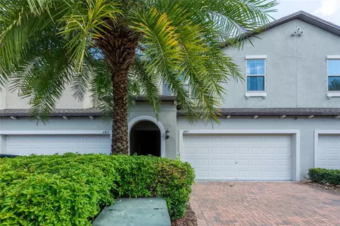 6815 Via Perloso Ct, Tampa, FL 33625