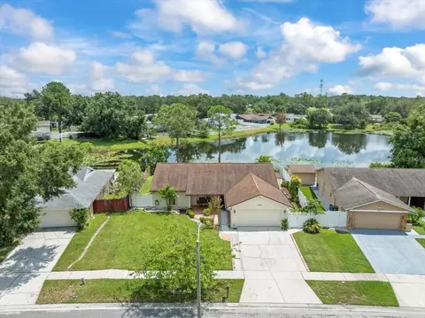 15909 Marshfield Drive Dr, Tampa, FL 33624