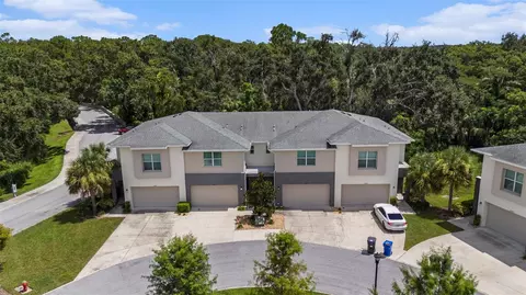 12823 Sanctuary Vista Trl, Tampa, FL 33625