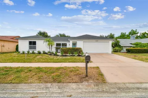 1339 Jambalana Dr, Holiday, FL 34691