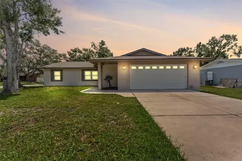 10721 Tabor Dr, Tampa, FL 33625
