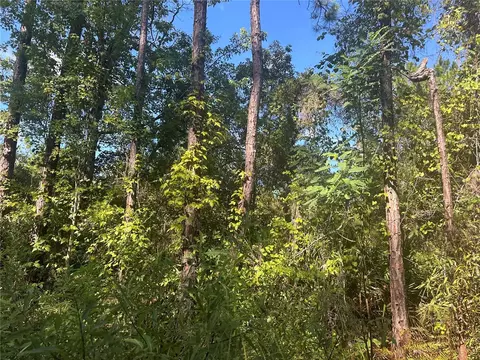 tbd NE 137 Ct, Fort Mc Coy, FL 32134