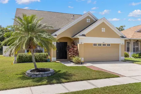 6619 Summer Cove Dr, Riverview, FL 33578