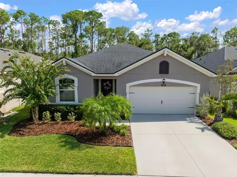 13223 Baby Belle Dr, Riverview, FL 33579