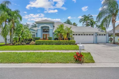 10031 Colonnade Dr, Tampa, FL 33647
