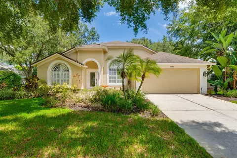 15209 Arbor Hollow Dr, Odessa, FL 33556