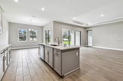 12309 White Blossom Ct, Parrish, FL 34219 photo 3