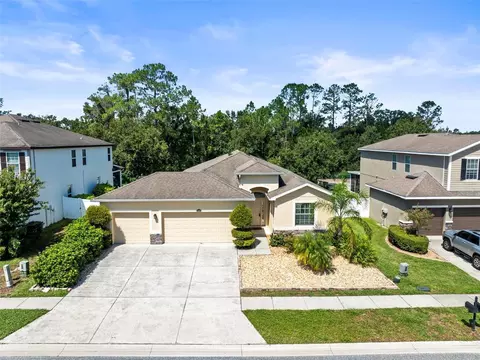 2559 Bartolo Dr, Land O Lakes, FL 34639