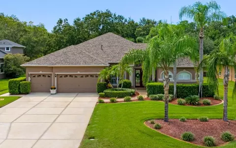 6523 Alcester Dr, New Port Richey, FL 34655