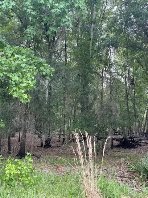0 Palamino Lake Dr, Dade City, FL 33523