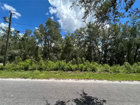 0 Malauka Radial Ln, Ocklawaha, FL 32179