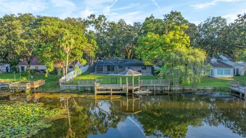 1005 Samy Dr, Tampa, FL 33613