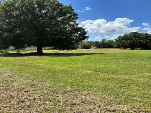 16915 Leclare Groves Way, Lutz, FL 33558