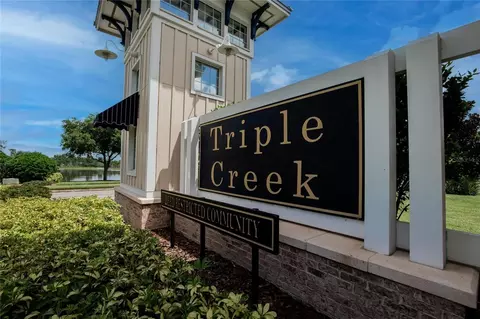 View/Area - 12788 Maple Bonsai Dr, Riverview, FL 33579 photo 1 of 16