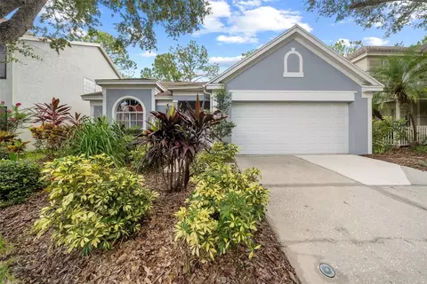 17711 Ridgeway Point Pl, Tampa, FL 33647