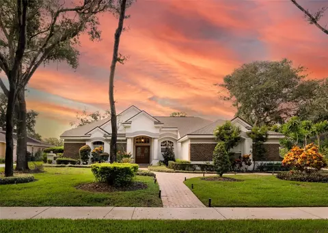 6023 Hammock Hill Ave, Lithia, FL 33547