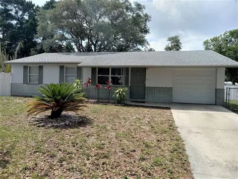 3118 Palm Ct, Dunedin, FL 34698