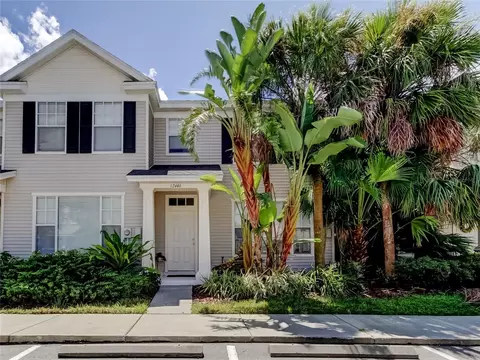 12446 Country White Cir, Tampa, FL 33635