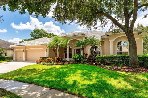 9117 Woodridge Run Dr, Tampa, FL 33647