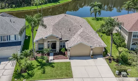 1135 Big Creek Dr, Wesley Chapel, FL 33544
