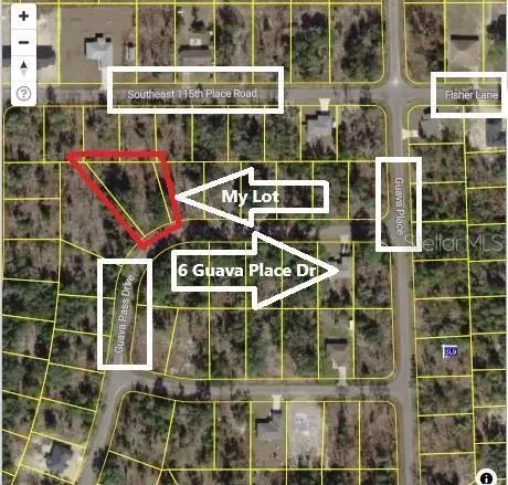 0024 Guava Pass Dr, Ocklawaha, FL 32179