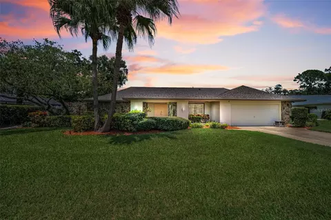 3105 Wesson Way, Tampa, FL 33618