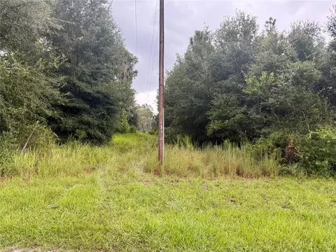 0 State Road 471, Webster, FL 33597 photo 8