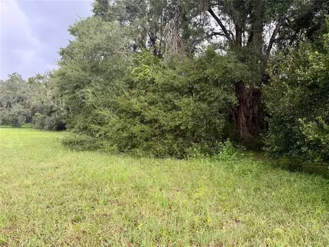 0 State Road 471, Webster, FL 33597 photo 3