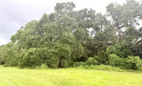 0 State Road 471, Webster, FL 33597 photo 9