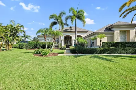3959 Mimosa Pl, Palm Harbor, FL 34685