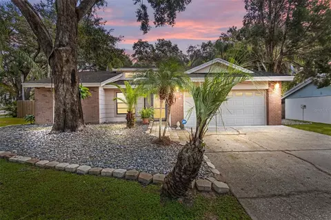 1613 Long Pond Dr, Valrico, FL 33594