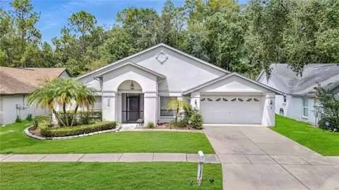 18315 Cypress Stand Cir, Tampa, FL 33647