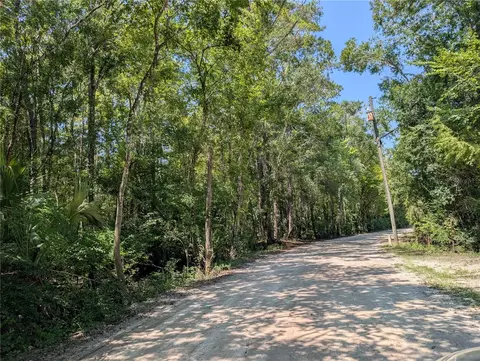 6252 E River Rd, Hernando, FL 34442 photo 4