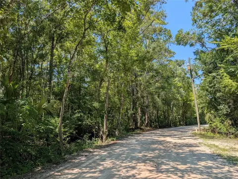 6252 E River Rd, Hernando, FL 34442 photo 5