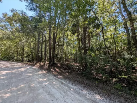 6252 E River Rd, Hernando, FL 34442 photo 2