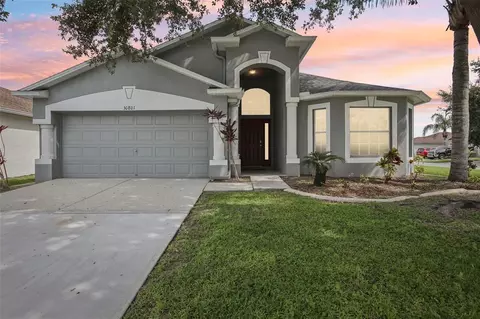 30801 Birdhouse Dr, Wesley Chapel, FL 33545